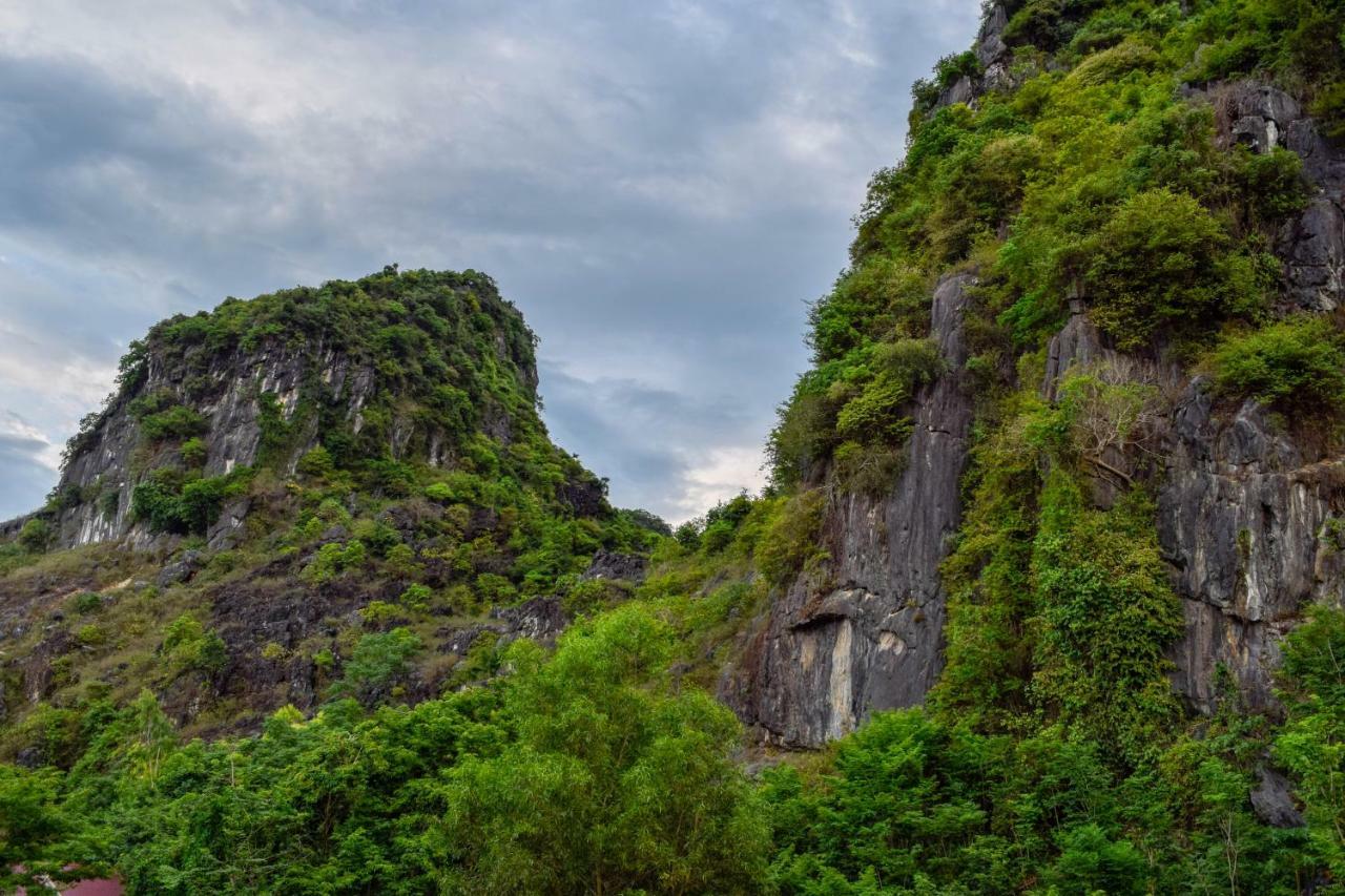 Phong Nha Orient Hotel Екстериор снимка